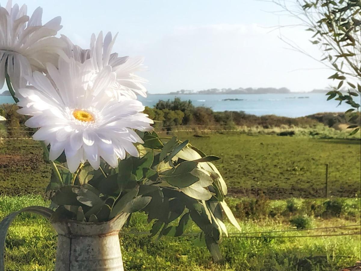 Le Petit Cosy De Kerigou Avec Vue Et Vakantiehuis